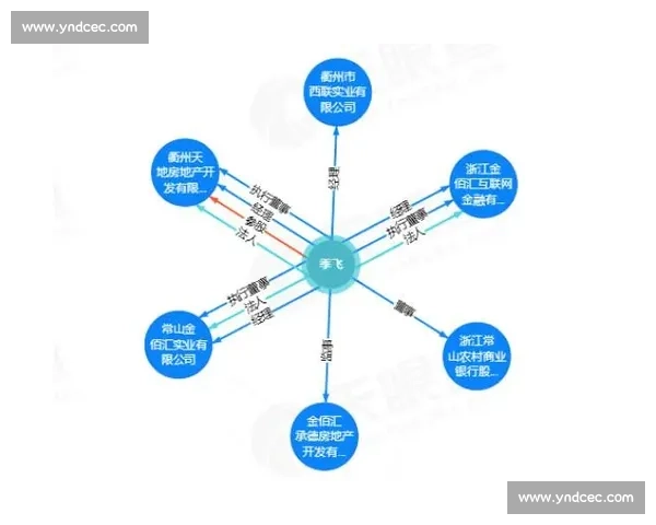 以借款为核心探讨现代金融体系中个人与企业资金流动机制 以借款为核心探讨现代金融体系中个人与企业资金流动机制