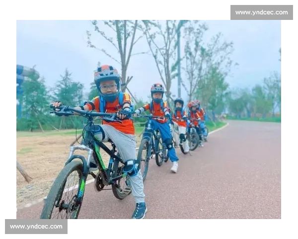 全民健身新引擎，乒乓球运动如何让健康生活触手可及