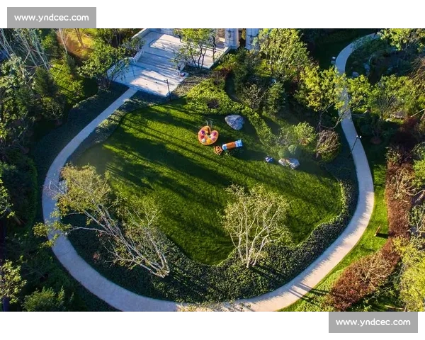 竹节草的生态价值与园林应用及其在可持续景观设计中的重要作用