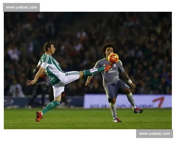 泪目！老将数据下滑，但拼搏精神依旧闪耀赛场！