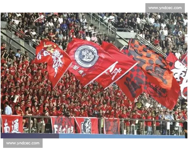 球迷心声：苏超积分榜上的跌宕起伏，牵动着多少人的梦想！