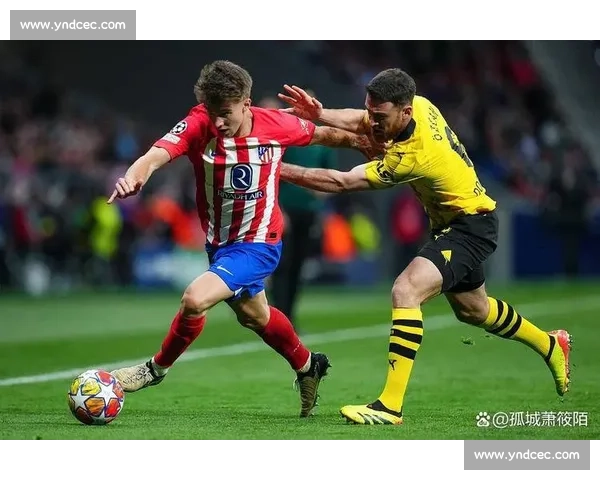 德甲巨星转会传闻再起!拜仁慕尼黑瞄准谁