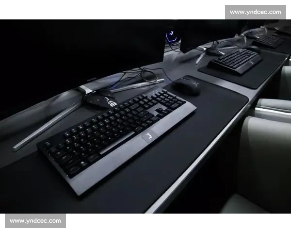 揭秘电竞国际教育：从爱好到职业的蜕变之旅