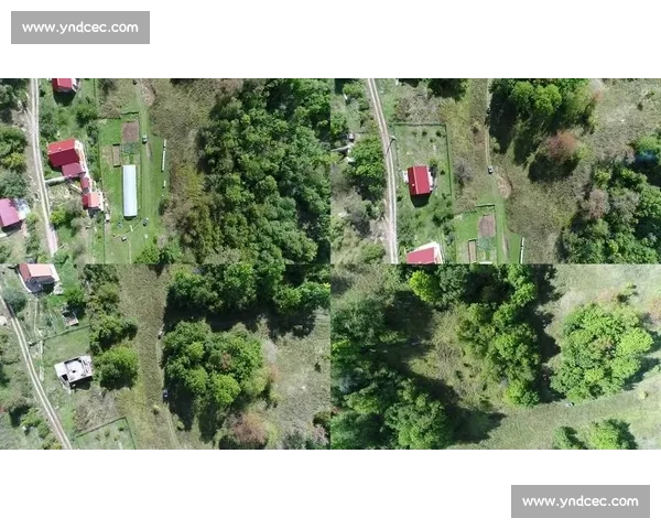 无人机航拍，捕捉最震撼的体育瞬间，视角独一无二！