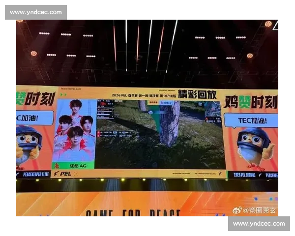 谁能carry全场和平精英主播的团队配合！