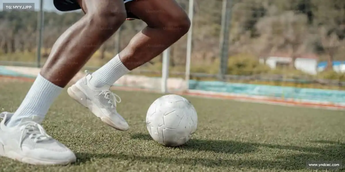 行业领先的理由